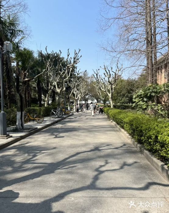 同济大学(嘉定校区)图片