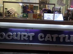 -一只酸奶牛(奎星楼店)