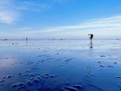 -南汇嘴观海公园