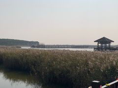 -南大港湿地风景区