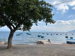 -抚仙湖禄充风景区