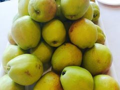 -上海市平和双语学校