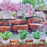 贵阳游玩|万象温泉超赞自助餐系列