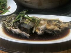 清蒸石斑鱼-77号渔船·蒸海鲜青岛菜(积米崖店)