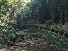 -凤栖山