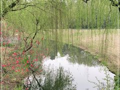 -柳浪闻莺公园