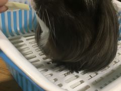 -藦茜花园宠物主题亲子互动体验馆(国顺东路店)