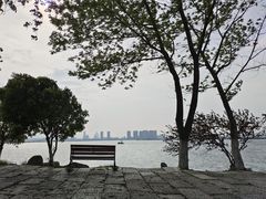 -瑶湖郊野森林公园