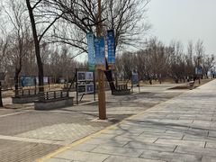 -野鸭湖国家湿地公园