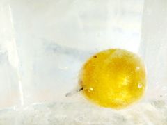 -哈尔滨融创文旅城