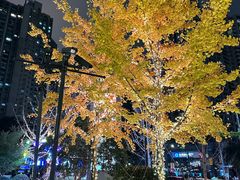 -瑞虹新天地月亮湾