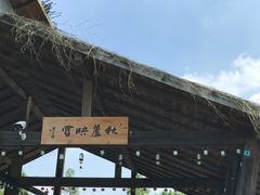 -溱湖国家湿地公园