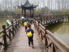 -合肥滨湖国家森林公园