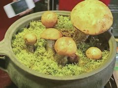 -阿西土陶牦牛汤锅