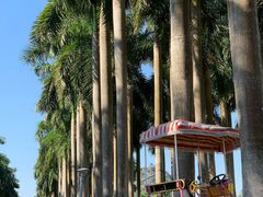 -南宁花花大世界景区