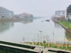 -芦潮港集贸市场