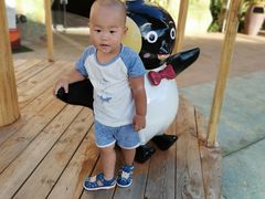 -三亚海昌梦幻海洋不夜城