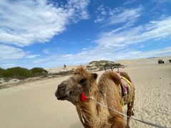 -库伦旗银沙湾旅游景区