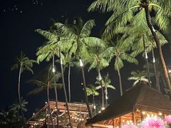 -Coco Tam’s
