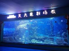 -多彩贵州城极地海洋世界