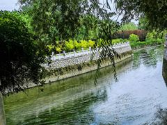 -大望京公园