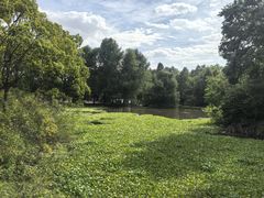 -上海海湾国家森林公园