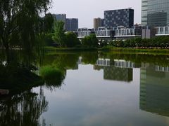 -大兴滨河森林公园