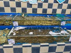 水产区-果蔬好生活超市(新荟城店)