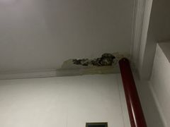 -松浦·观江国际