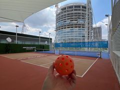 -Our Pickleball多多动匹克球俱乐部(世博源店)