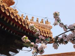 -故宫博物院(故宫)