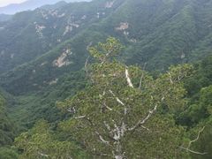 -少华山国家森林公园