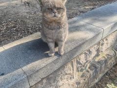 -四门塔风景区