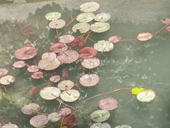 -颐和园