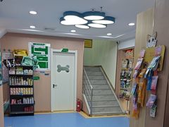 -天使宠物医院·犬猫分诊(彩虹店)