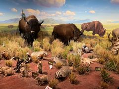 -陕西自然博物馆