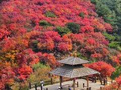 -九如山休闲旅游度假区