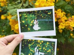 -深圳国际园林花卉博览园