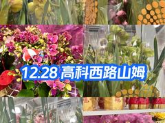-山姆会员商店(上海浦东店)