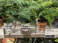 -鹿岛生活(熙地港店)