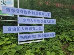 -秦岭天竺山生态文化旅游景区