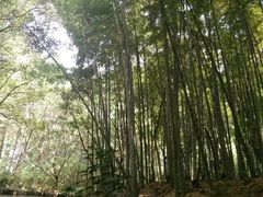 -同里国家湿地公园