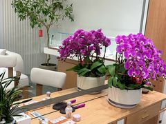 -泉·颂钵冥想·减压·疗愈SPA(前海店)