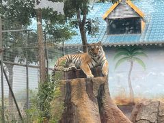-龙口动植物园