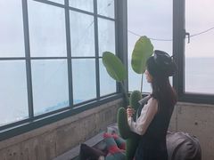-Cafe Rooftop Cheongsapo