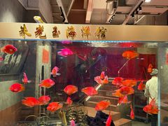 -朱光玉火锅馆(正弘城店)