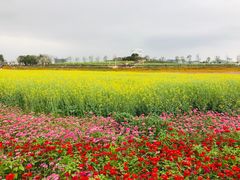 -光明小镇欢乐田园