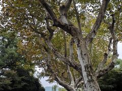 -浙江省博物馆(孤山馆区)