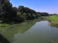 -东郊湿地公园