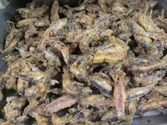 -宾朋海鲜特色美食餐厅·纯手工鲅鱼水饺(兴海路店)